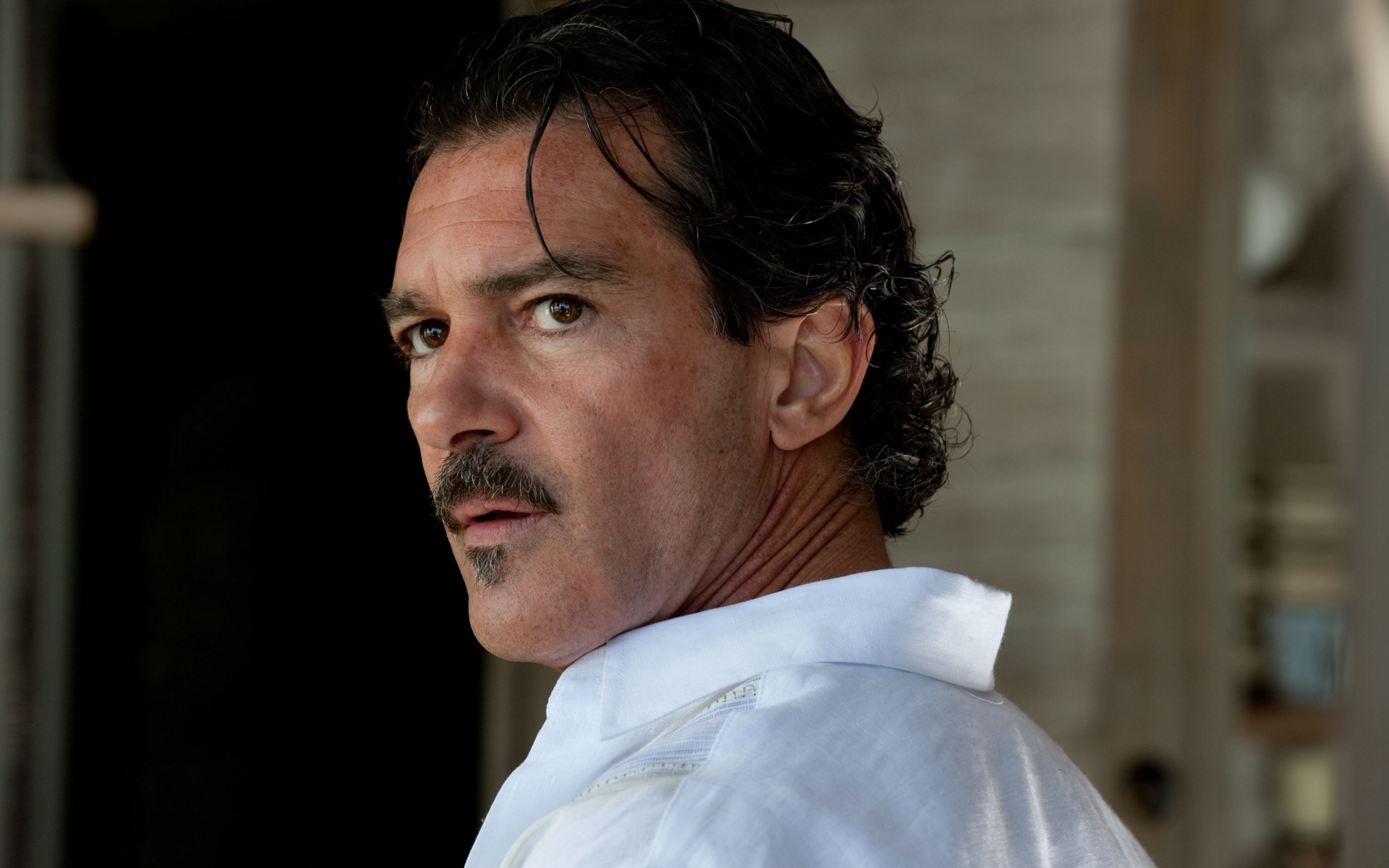 Картинки Antonio banderas, рубашка, мужчина, усы, глядя фото и обои на рабочий стол