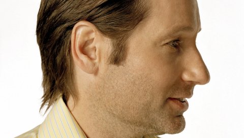 David duchovny, актер, мужчина, профиль, волосы, куртка
