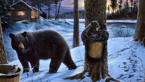 Медведь, лес, медведи, дом, семья, ходьба, еда