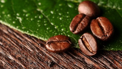 Кофейные бобы, поверхность, листья