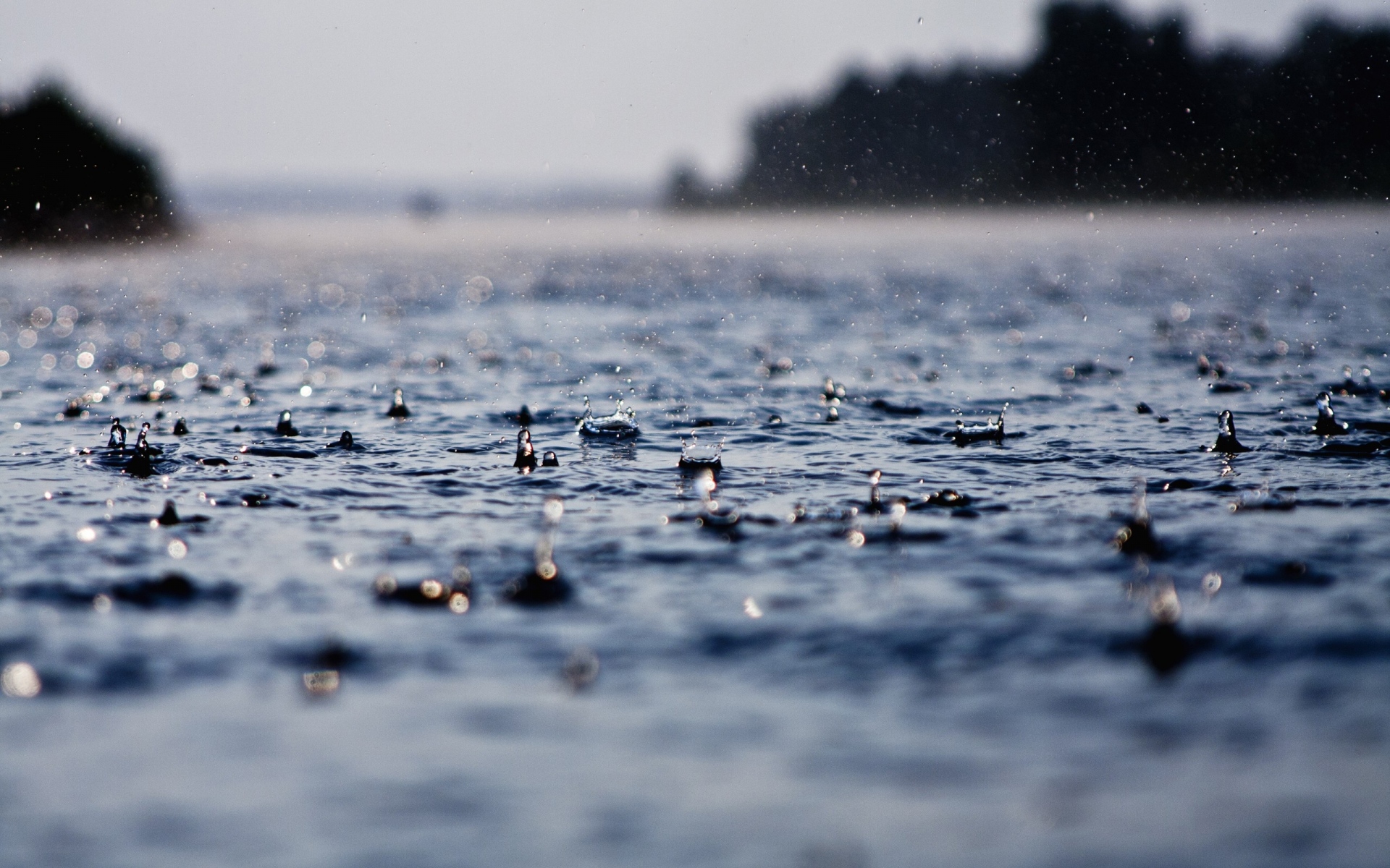 Картинки Вода, поверхность, капли, влажный, морской фото и обои на рабочий стол