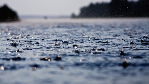 Вода, поверхность, капли, влажный, морской