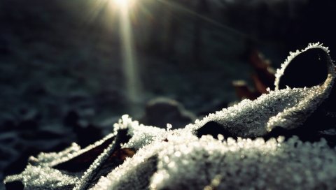 Снег, свет, блеск, поверхность, зима