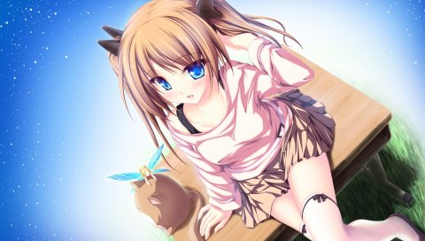 Аниме, девушка, кошка, эльф, блеск