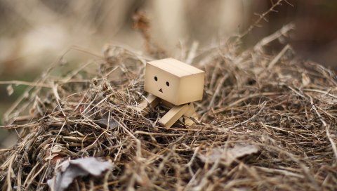 Danboard, box, man, hay, grass, dry, curiosity