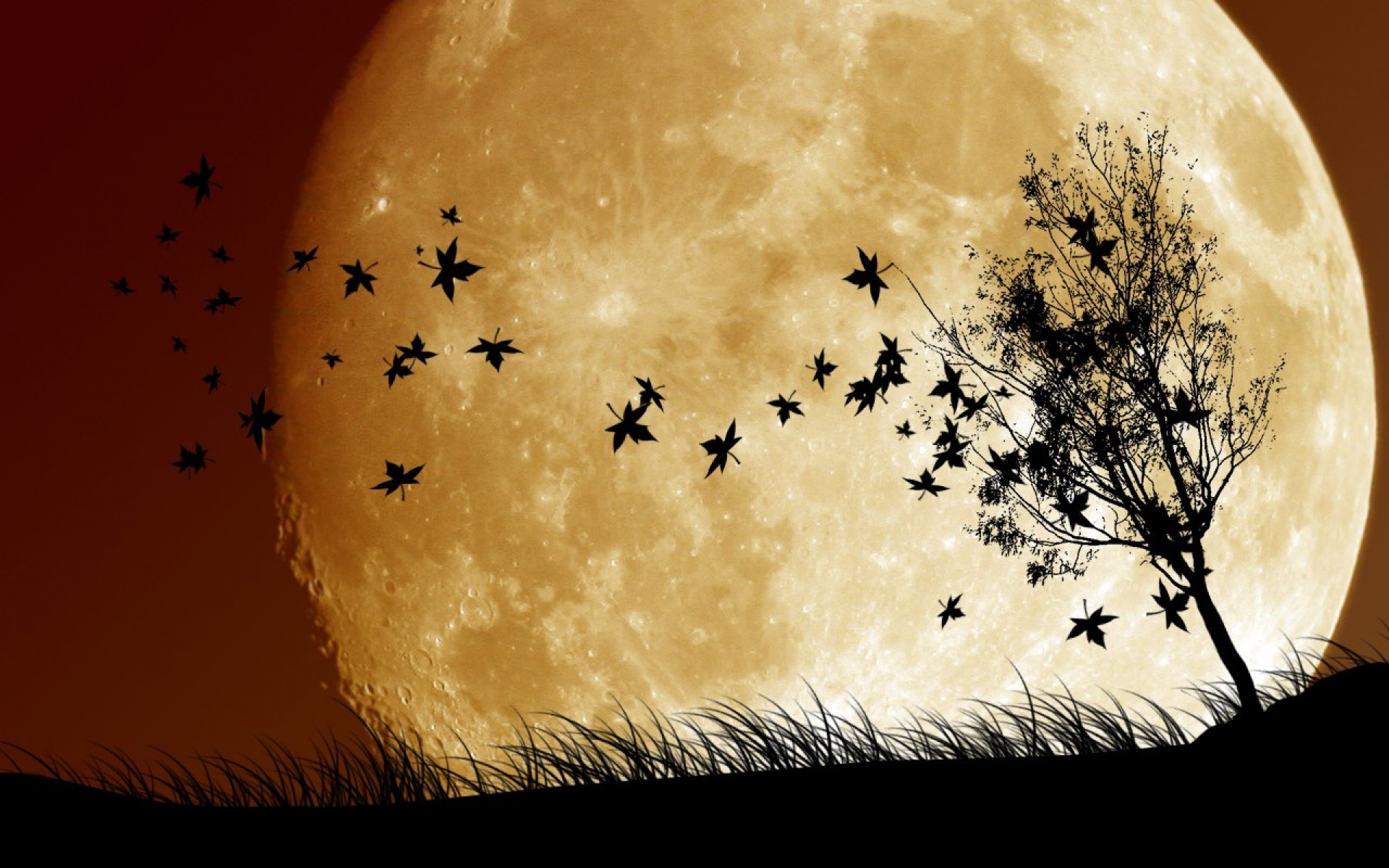 Картинки Птицы, небо, планета, луна, тень фото и обои на рабочий стол