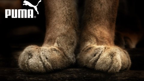 Puma, бренд, фирма, спорт, нога