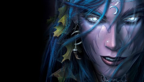 Warcraft, tyrande whisperwind, женщина, лицо, взгляд