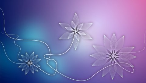 Цветы, графика, свет, узоры
