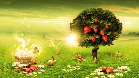 Природа, свет, поляна, пейзаж, лето, красочный, настроение