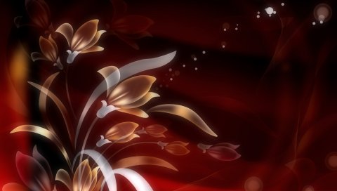 Цветы, отражения, цвета, линии