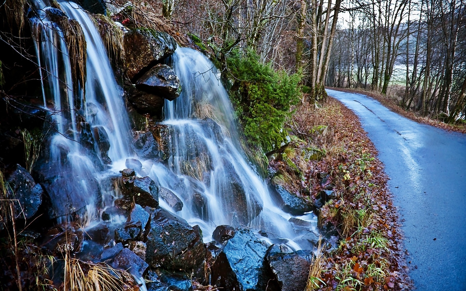 Картинки Водопады, дороги, деревья, асфальт фото и обои на рабочий стол