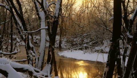 Река, дерево, зима, солнце, отражение