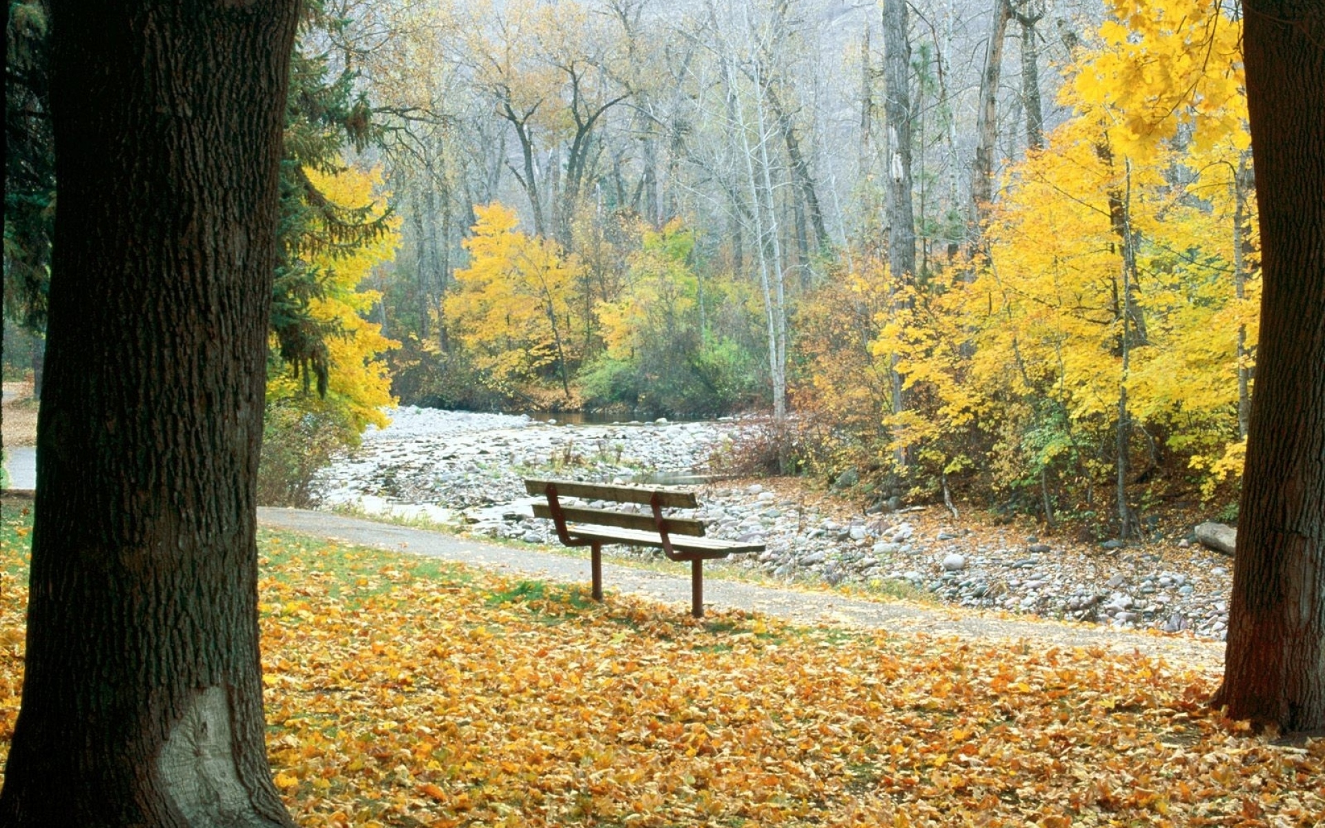 Картинки Скамейка, парк, осень, деревья, монтана фото и обои на рабочий стол