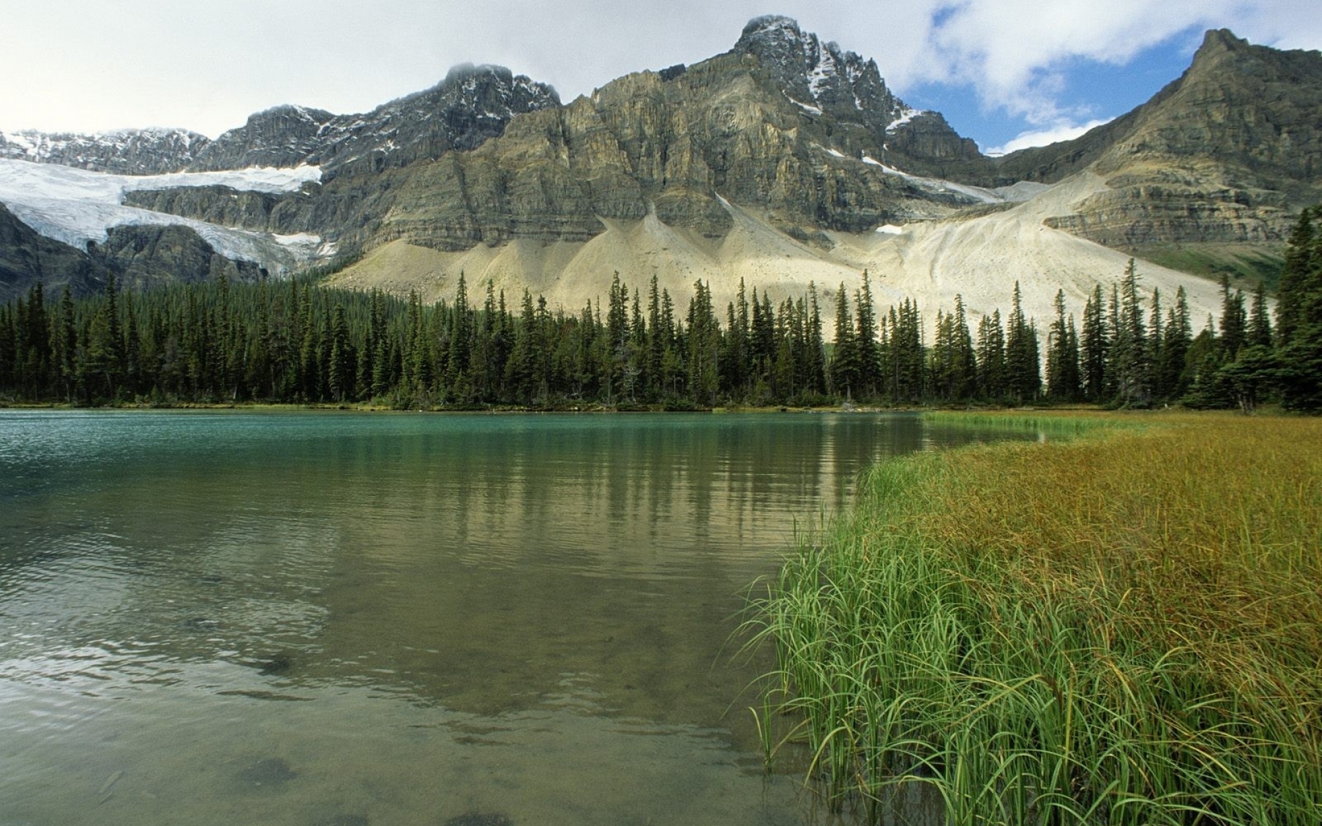 Картинки Ледниковое озеро, Альберта, Канада, горы, деревья, трава фото и обои на рабочий стол