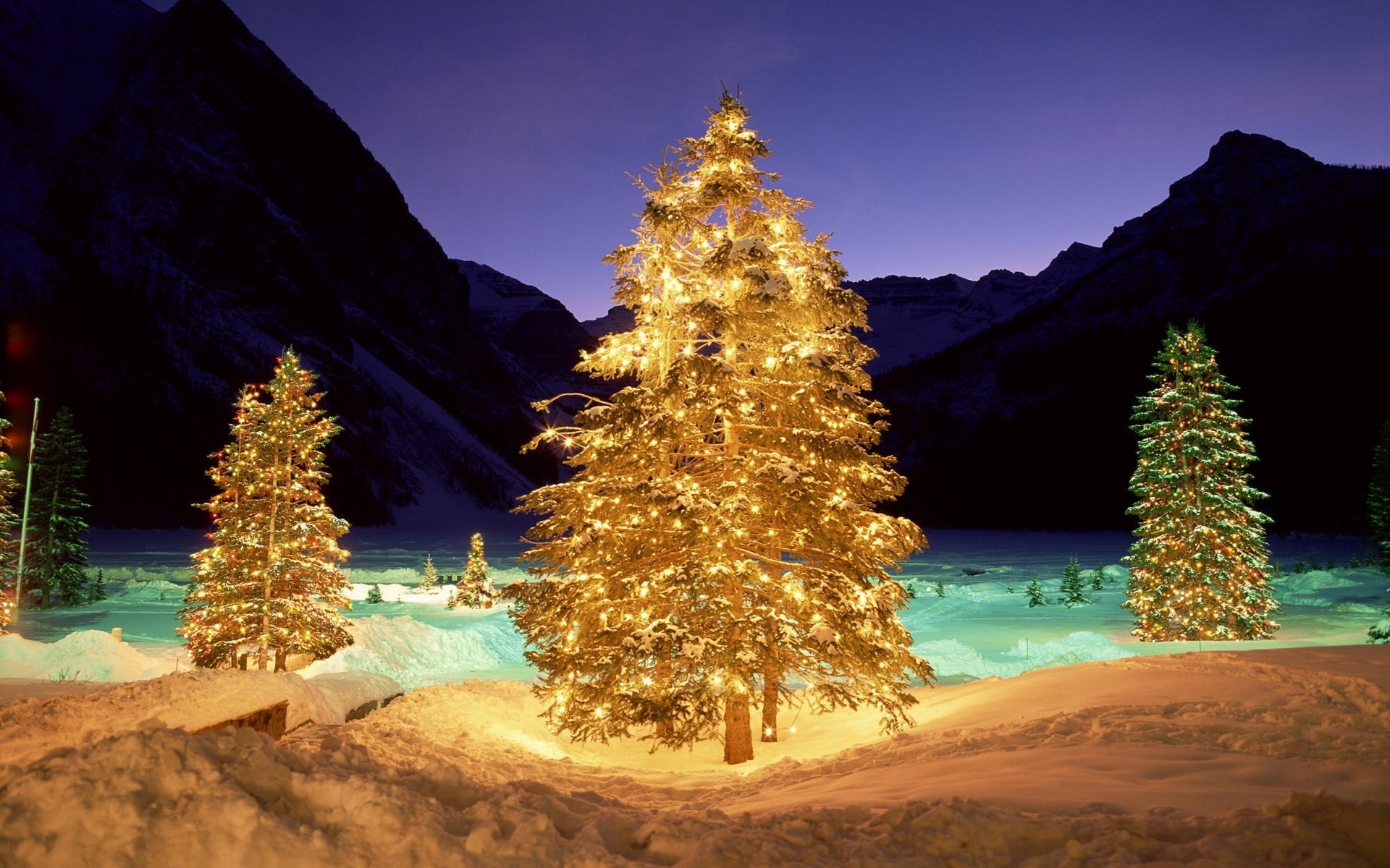 Картинки Деревья, снег, рождество, новый год, гирлянды фото и обои на рабочий стол