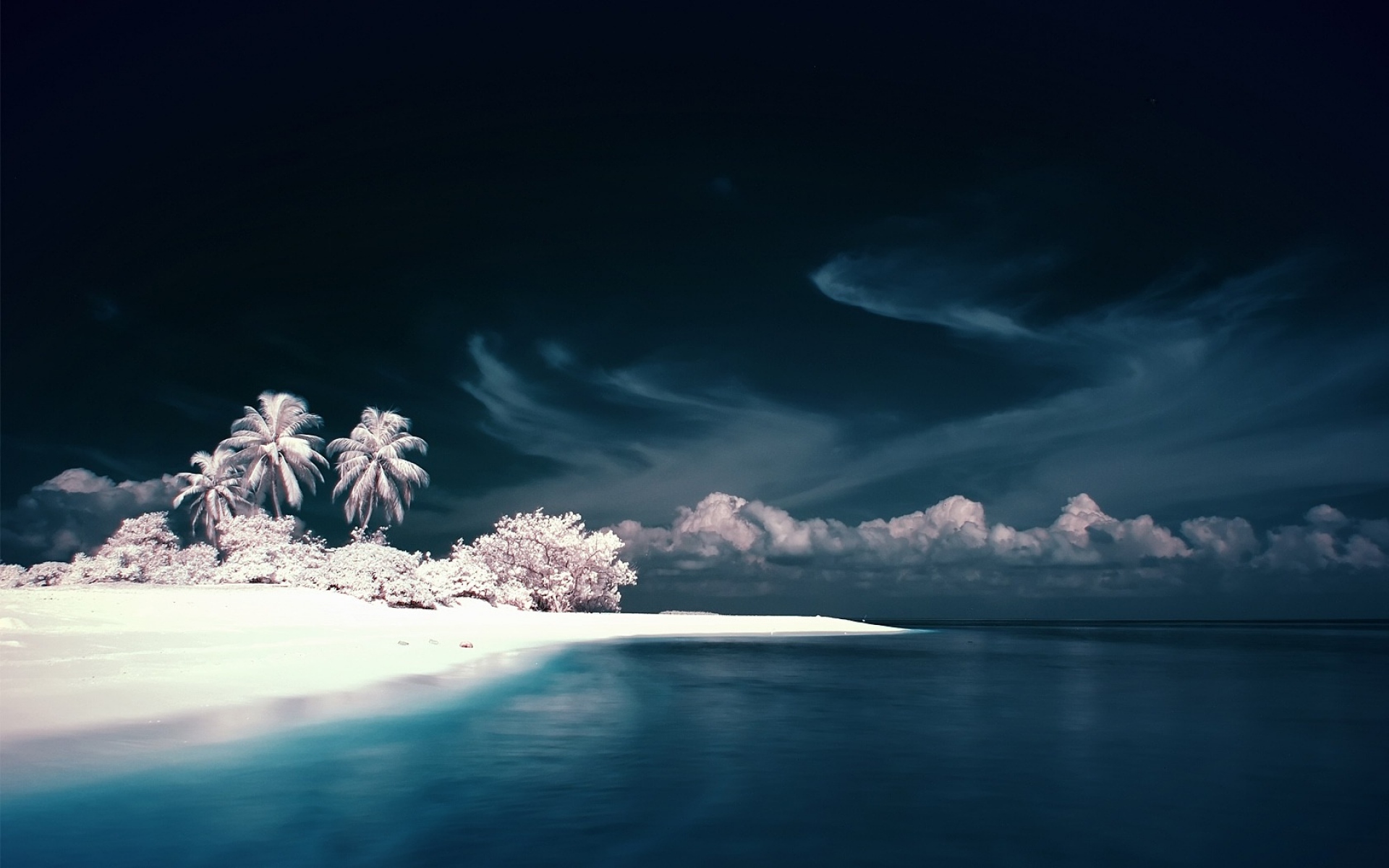 Картинки Пальмы, побережье, море, снег фото и обои на рабочий стол