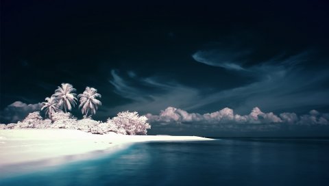 Пальмы, побережье, море, снег