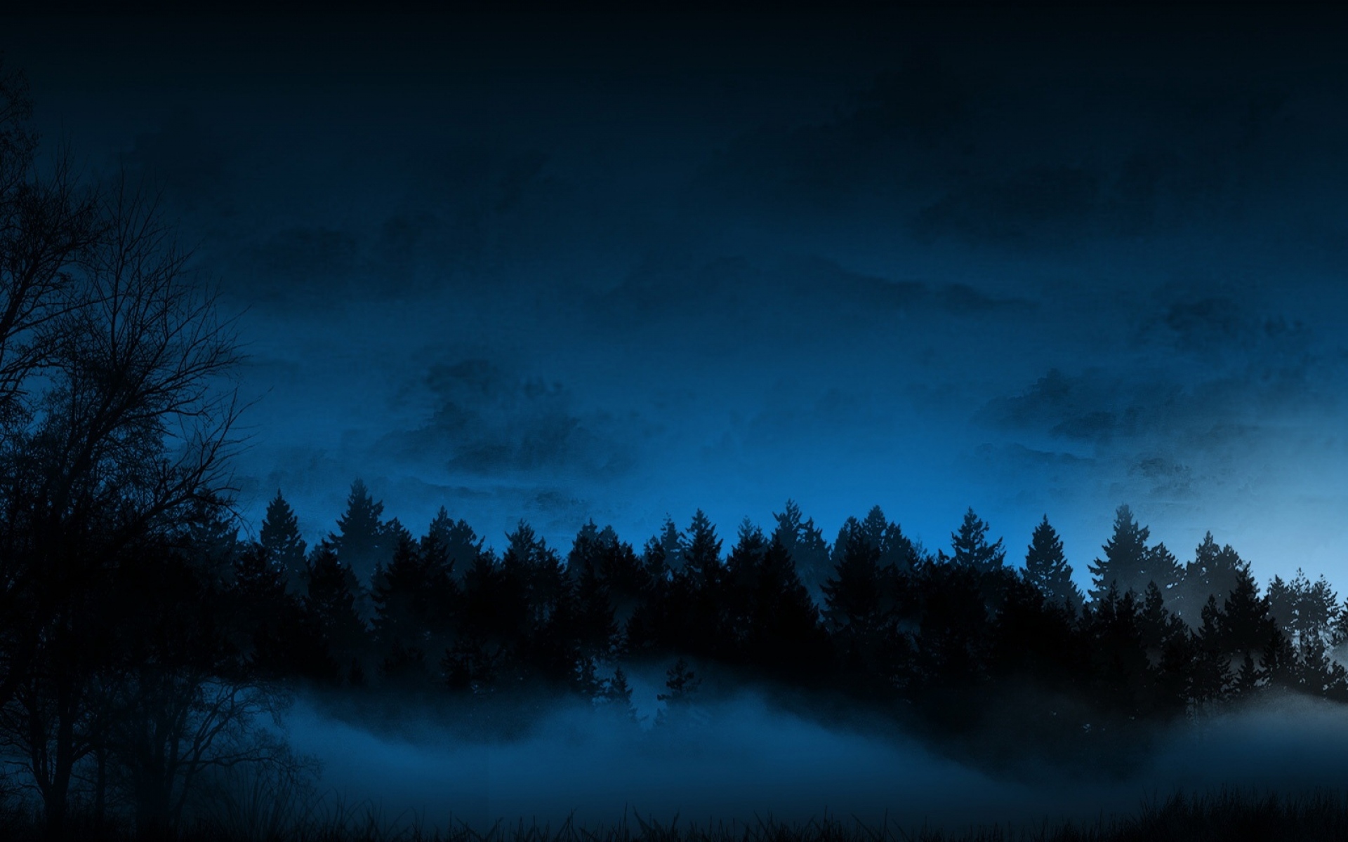 Картинки Ночь, деревья, елки, туман фото и обои на рабочий стол