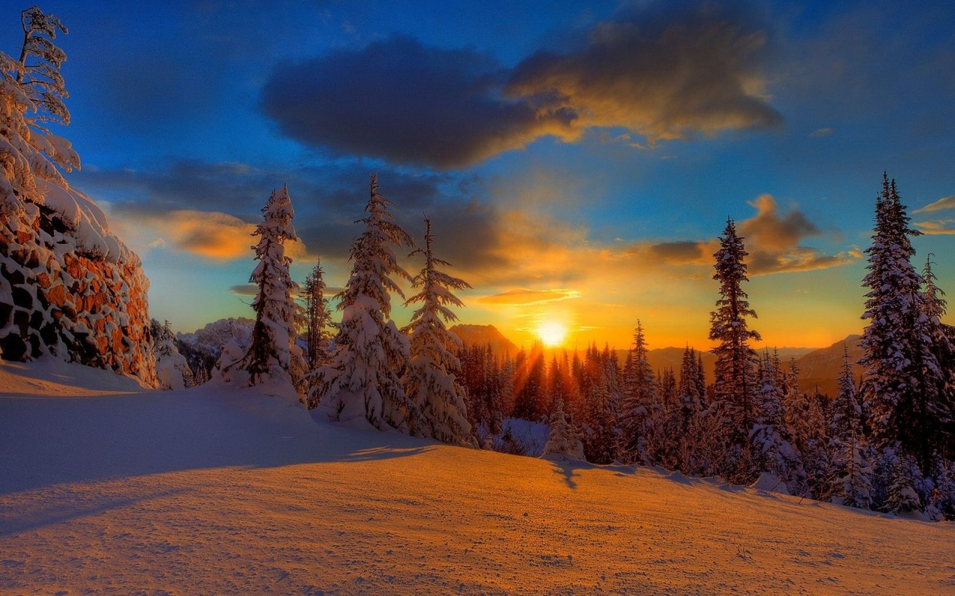 Картинки Солнце, закат, вечер, снег, деревья, елки, тень фото и обои на рабочий стол