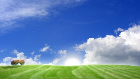 Деревья, луга, небо, облака, день