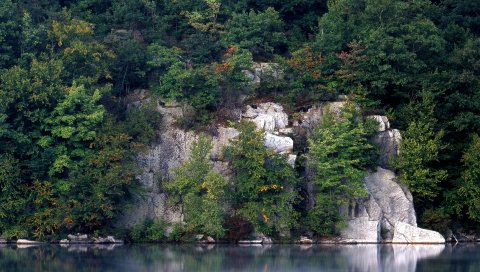 Скалы, деревья, озеро, растительность, гладкая поверхность воды