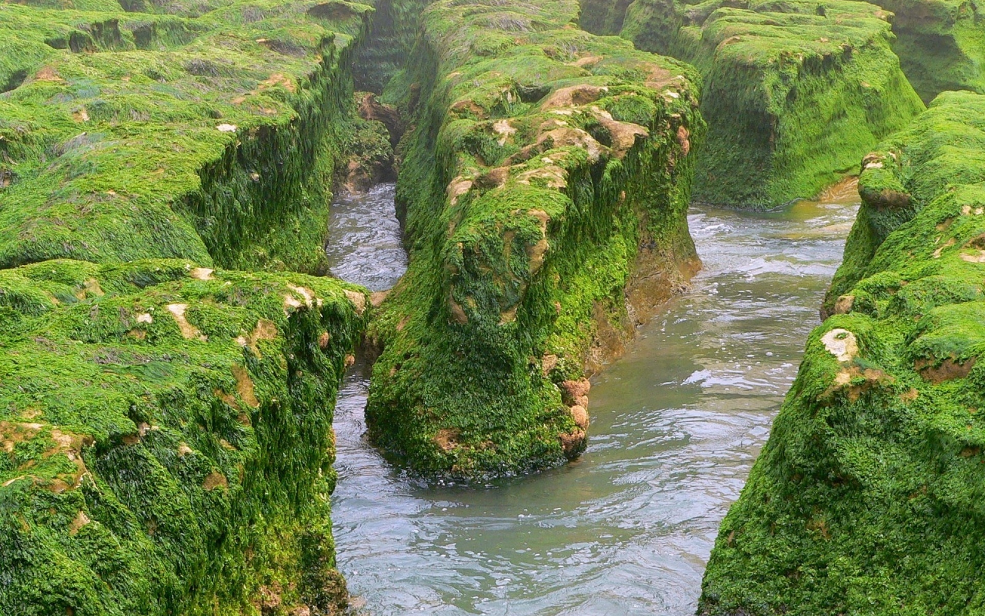 Картинки Скалы, мох, вода, река, зелень фото и обои на рабочий стол
