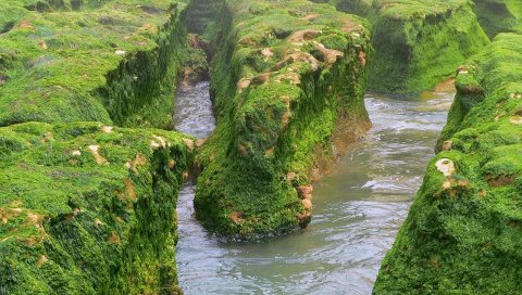 Скалы, мох, вода, река, зелень