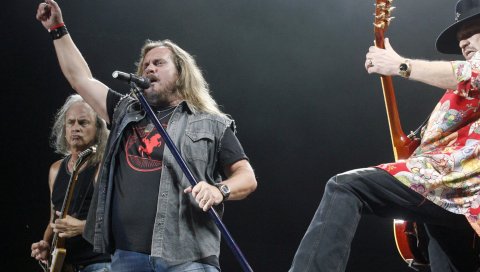 Lynyrd skynyrd, группа, шоу, сцена, микрофон