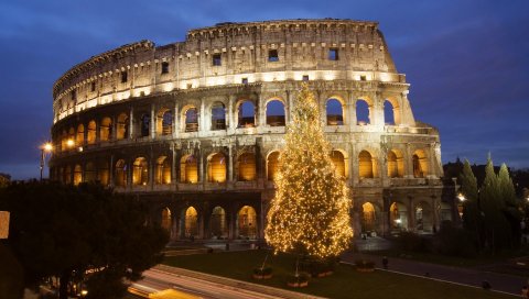 Colosseum, rome, tree, italy, light, hdr
