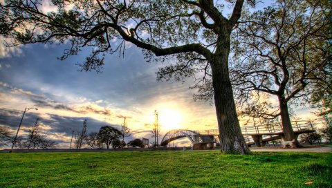Деревья, пейзажи, трава, город, hdr