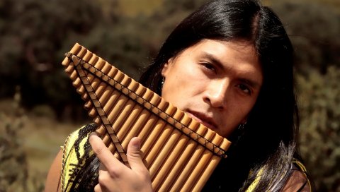 Leo rojas, мужчина, волосы, инструмент, солнечный свет