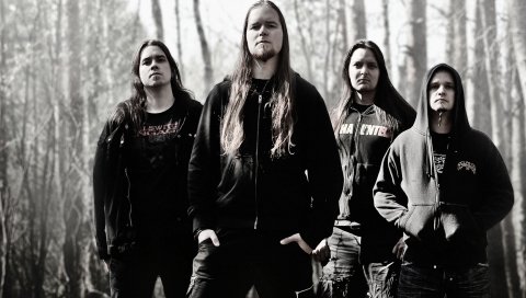 Insomnium, группа, лес, деревья, волосы