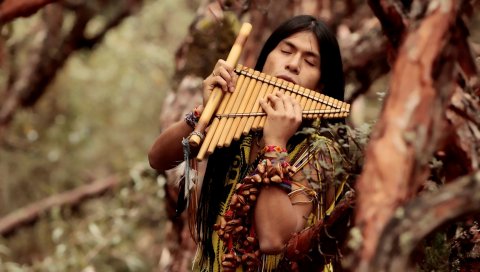 Leo rojas, мужчина, волосы, инструмент, деревья
