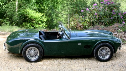 Ac, cobra, зеленый, вид сбоку, ретро, ??природа, автомобиль