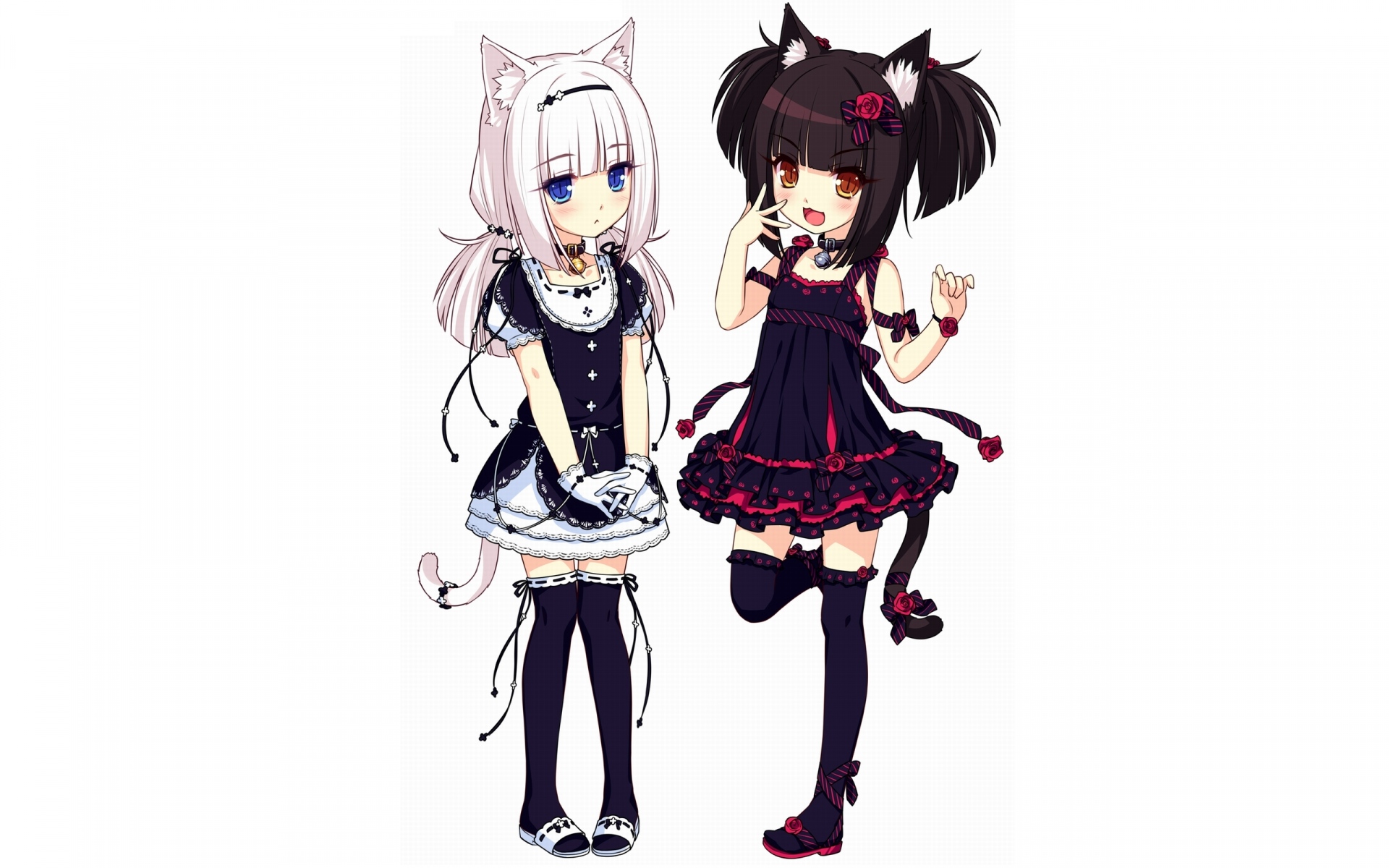 Две аниме девушки кошки