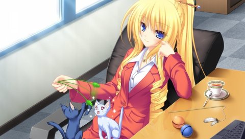 Девушка, стул, кабинет, кошка, игра, чашка, стол