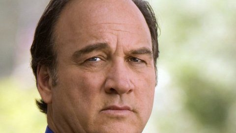 Jim belushi, лицо, взгляд, глаза, рубашка