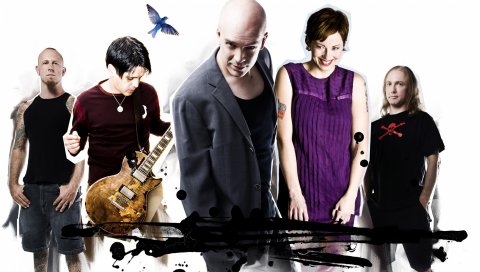 Devin townend project, лысый, графика, группа, девушка