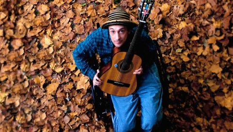 Vic chesnutt, листья, гитара, взгляд, шляпа