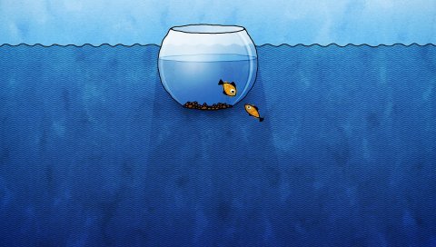 Аквариум, рыба, вода