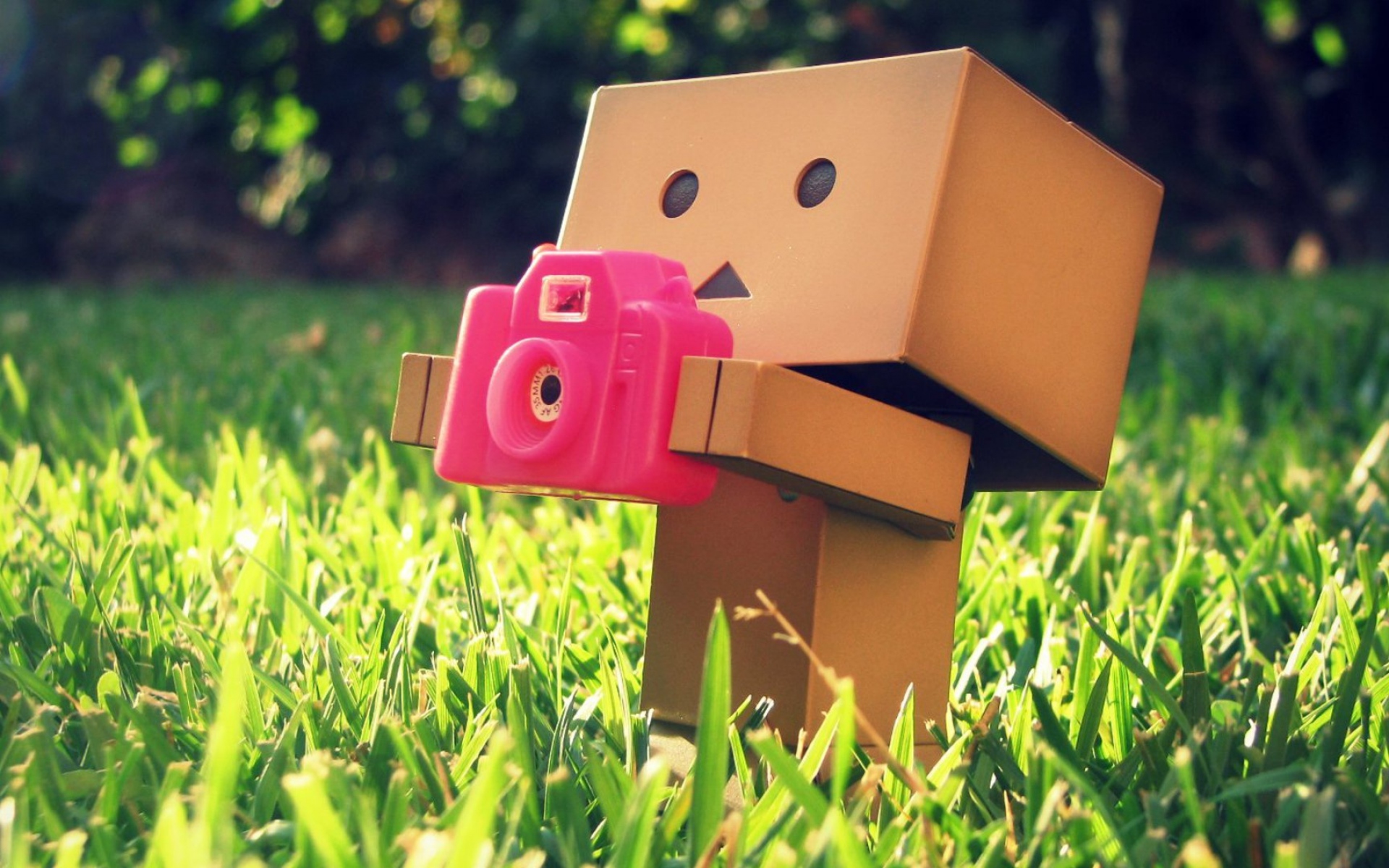 Картинки Danboard, камера, розовый, трава фото и обои на рабочий стол