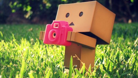 Danboard, камера, розовый, трава