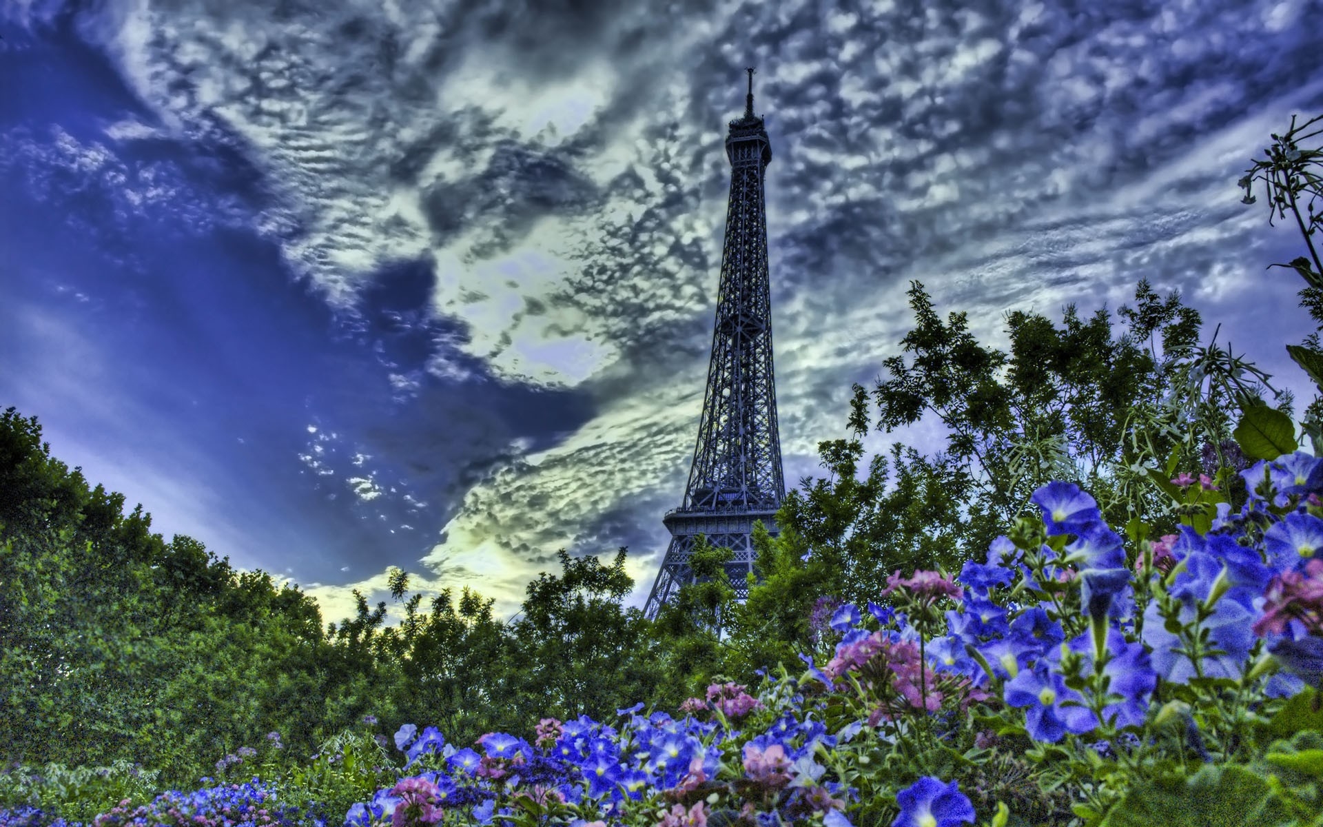 Картинки Эйфелева башня, Париж, Франция, цветы, hdr фото и обои на рабочий стол