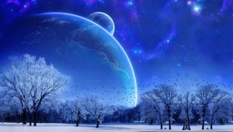 Природа, пейзаж, зима, небо, снег, полная луна, деревья, птицы, вечер