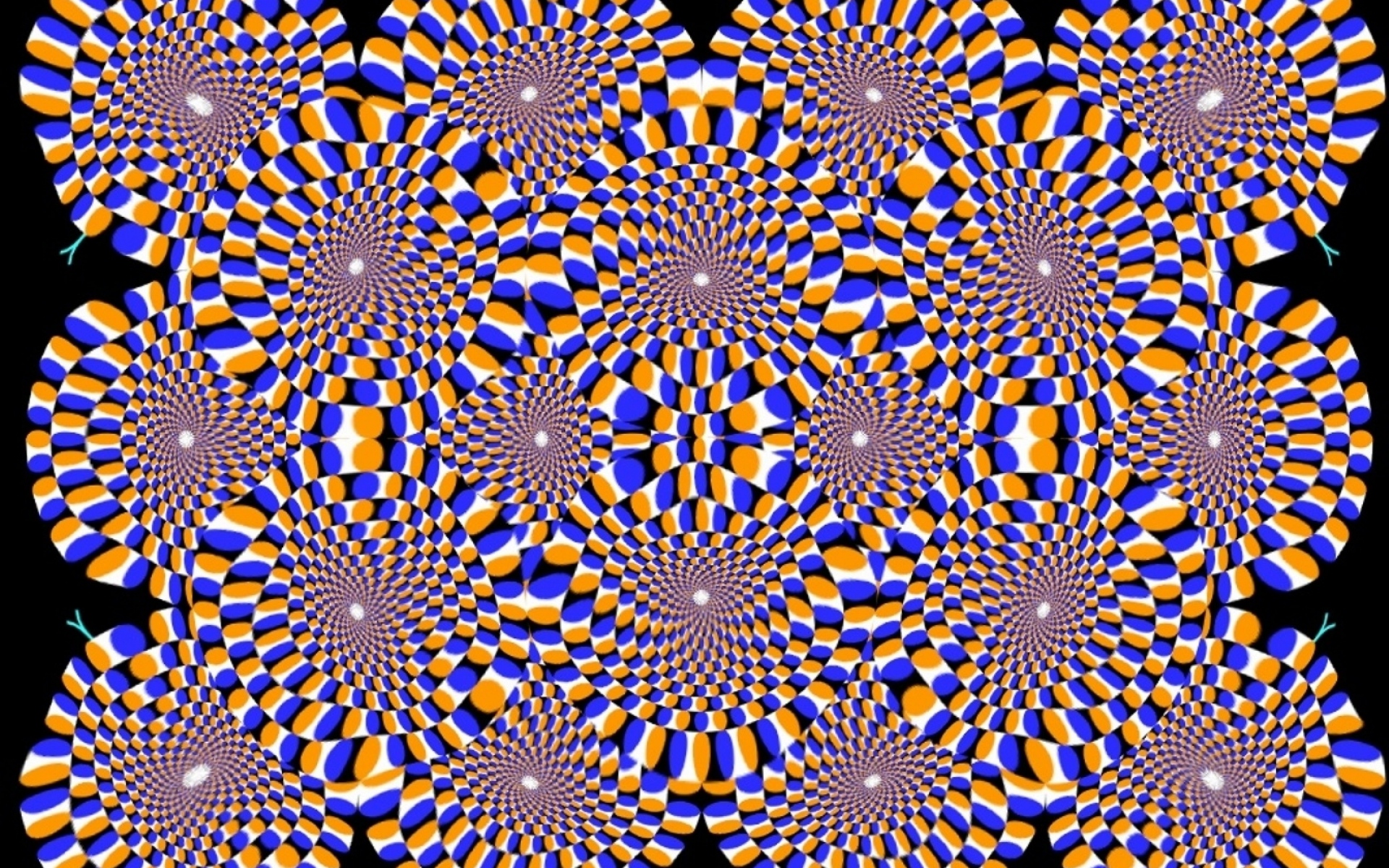 Движущиеся картинки для глаз. Акиоши Китаока иллюзия. Иллюзия Акиоши Китаока вращающийся змей. Оптические иллюзии стереокартинки. Оптические иллюзии для глаз стереограммы.