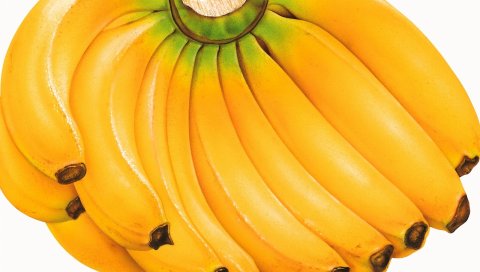 Бананы, кластер, фрукты