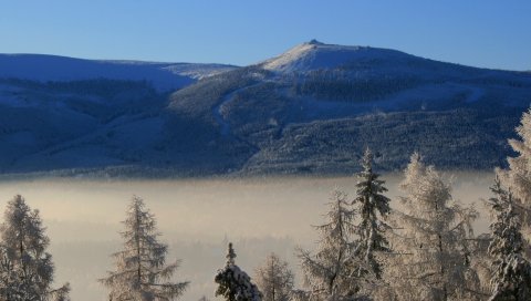 Горы, деревья, мороз, ель, облако, высота, дымка
