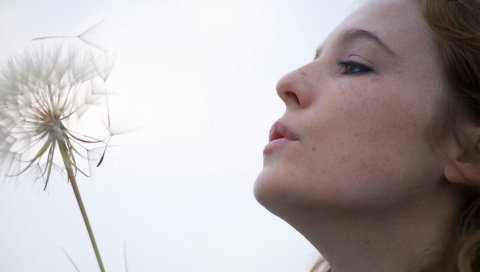 Tift merritt, девушка, одуванчик, небо, взгляд
