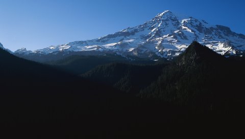 Горы, деревья, вершина, пик, снег
